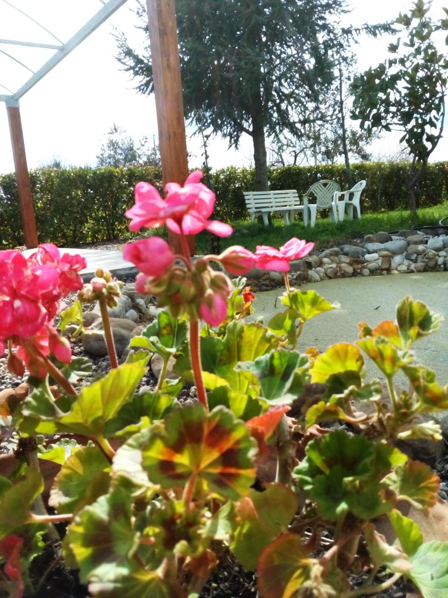 Dimora Antonianna In Valle D'Itria 로코로톤도 외부 사진