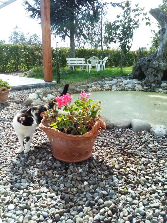 Dimora Antonianna In Valle D'Itria 로코로톤도 외부 사진
