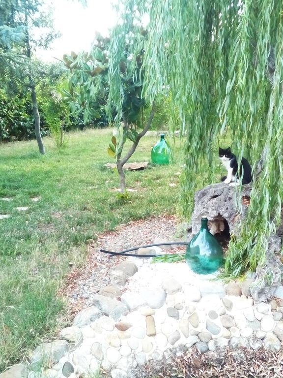 Dimora Antonianna In Valle D'Itria 로코로톤도 외부 사진